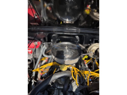 Jeep 4x4 CJ 6,6 V8 CJ-7 Topstaat