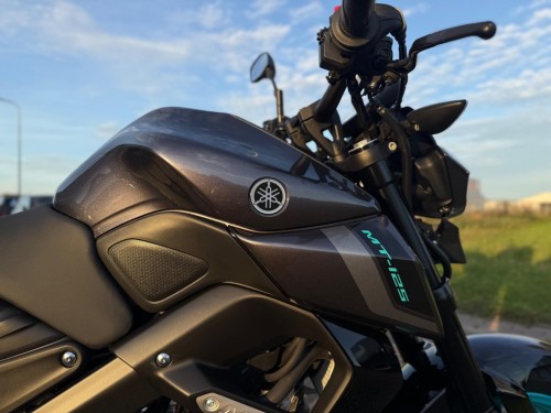 Yamaha Tour MT-125 ABS Naked 2024 NIEUWSTAAT