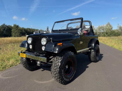 Jeep 4x4 CJ 6,6 V8 CJ-7 Topstaat