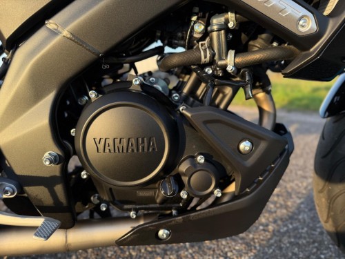 Yamaha Tour MT-125 ABS Naked 2024 NIEUWSTAAT