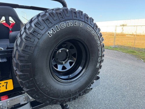 Jeep 4x4 CJ 6,6 V8 CJ-7 Topstaat